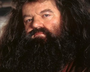 What is the teleological importance of Hagrid's beard vis a vis the function of the Good in wizarding world?